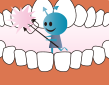 歯周病菌と歯
